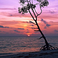 Andaman Exotic Beach Package Tour
